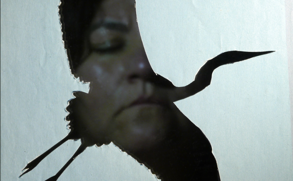 Extinction Ceremonies